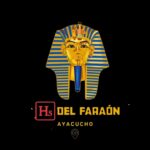 logo 20608645153