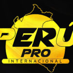 logo 20608663275